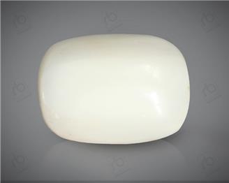 Natural White Coral ( Safed Mooga) Certified 11.28 CTS. ( 91507 )
